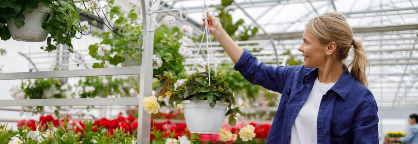 garden centre POS (5)